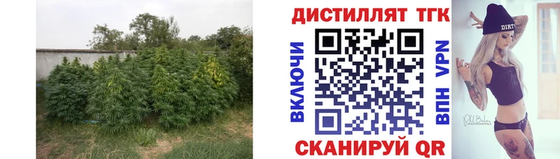 Дистиллят ТГК THC oil  даркнет Telegram  Кирсанов 