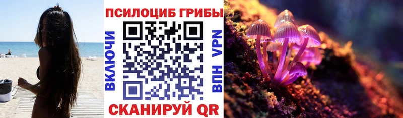 Галлюциногенные грибы Psilocybine cubensis  магазин    Кирсанов 